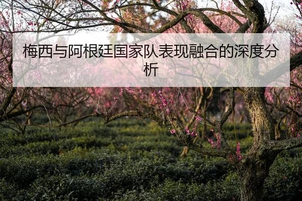 梅西与阿根廷国家队表现融合的深度分析